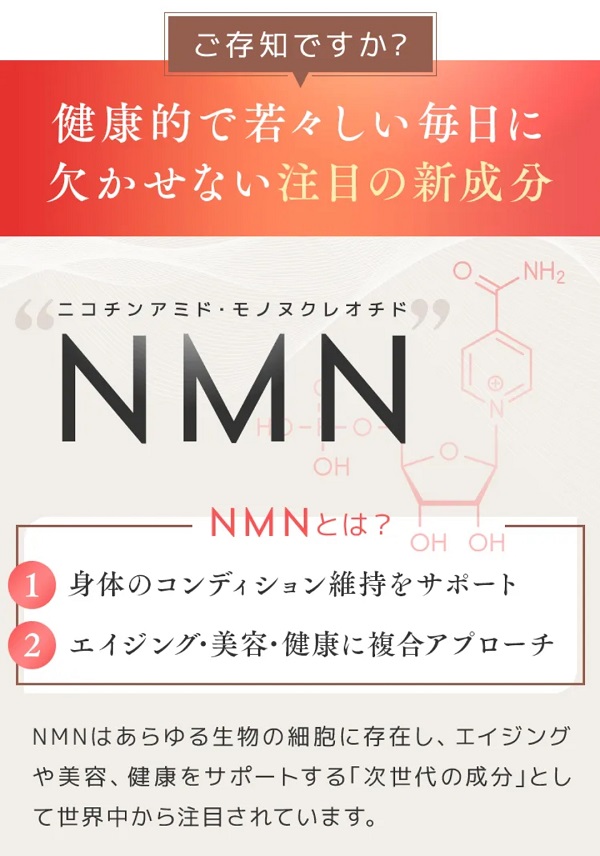 NMNとは